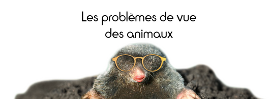 taupe portant des lunettes en bois